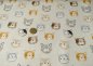 Preview: Carlo Hilco French Terry brushed with cat heads
